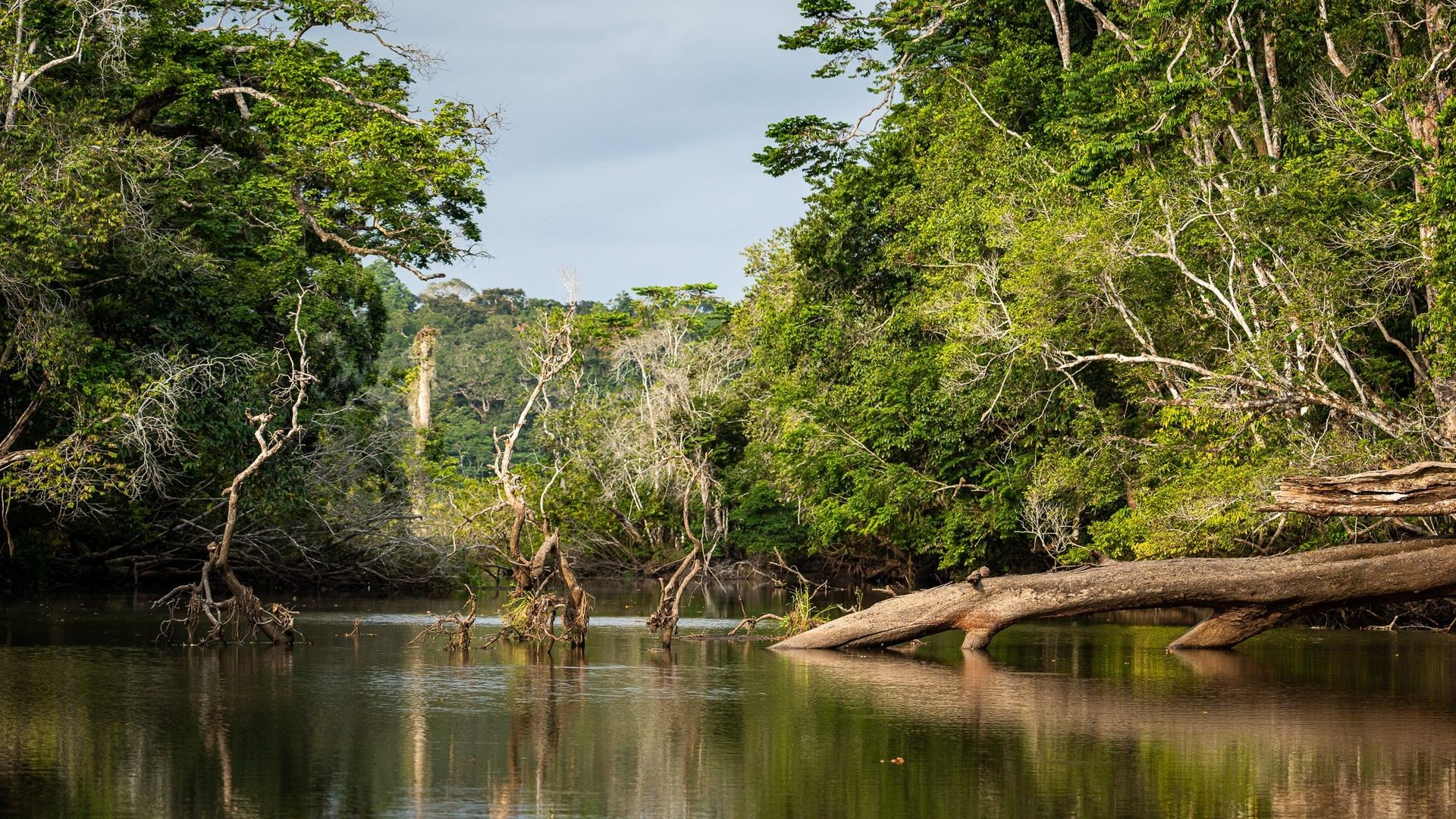 Loango National Park